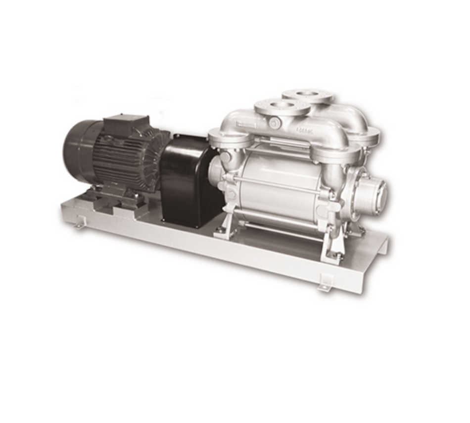 Bomba De Vacío BUSCH DOLPHIN LA 1908–2808 A