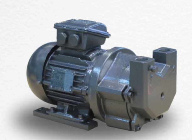 Bomba De Vacío Grow Up  WRS 500 / 900